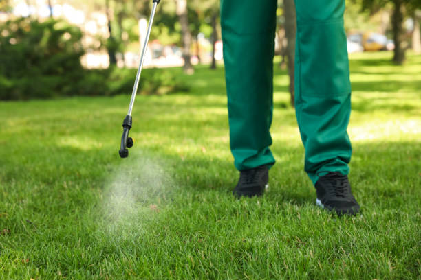 Best Wasp Removal Services  in Queen City, TX
