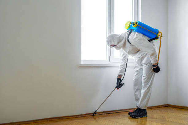 Pest Control Cost in Queen City, TX