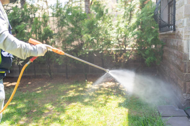 Best Commercial Pest Control Services  in Queen City, TX