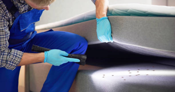 Best Emergency Pest Control  in Queen City, TX
