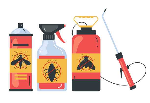  Queen City, TX Pest Control Pros