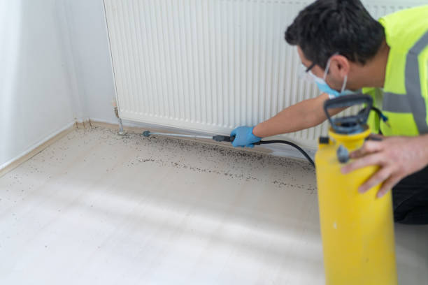 Best Pest Prevention Services  in Queen City, TX